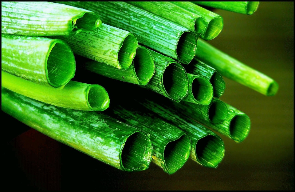 Gartenzwiebel plant food