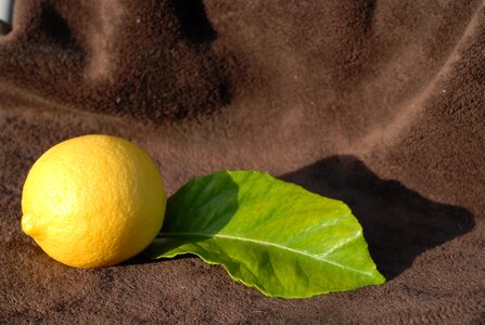 Fruit brown lemon photo
