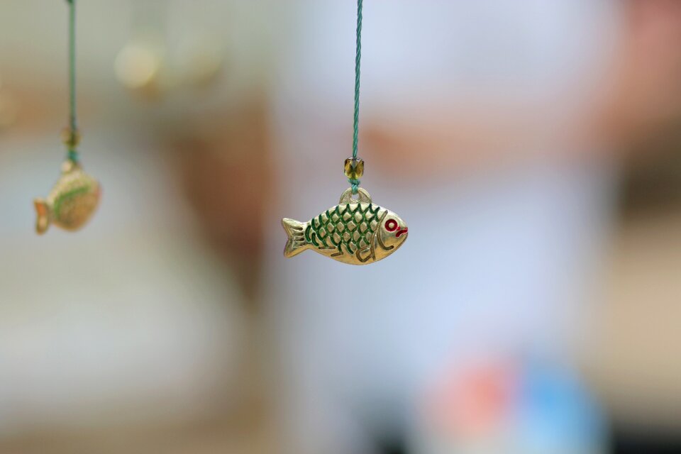 Fish bijouterie little