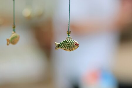 Fish bijouterie little