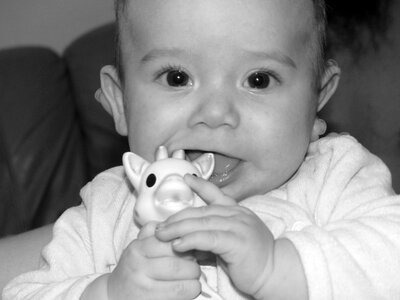 Child portrait boy photo