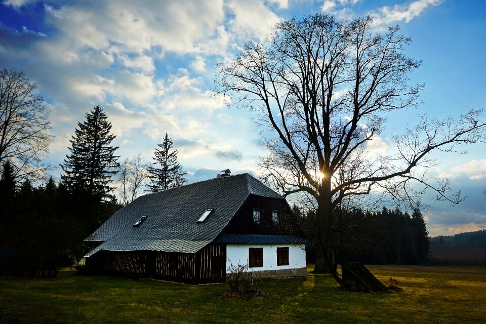 Backlight sun nature