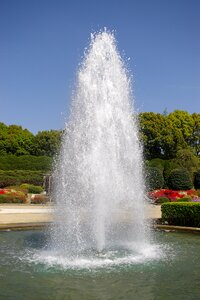 Kyoto botanical garden 2005 water