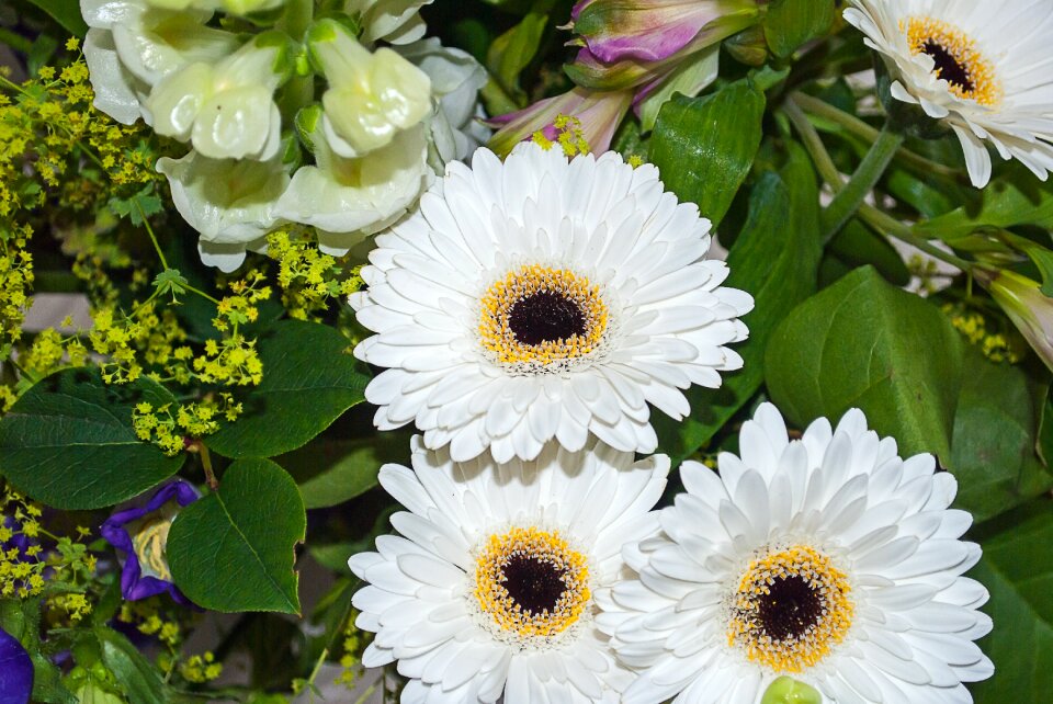 Flower bouquet white
