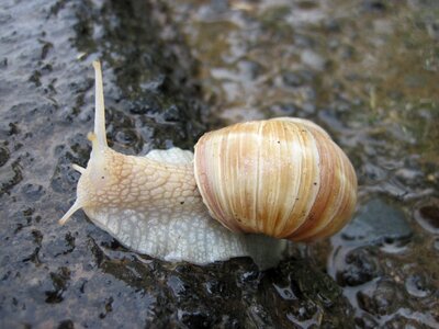 Nature spiral close up