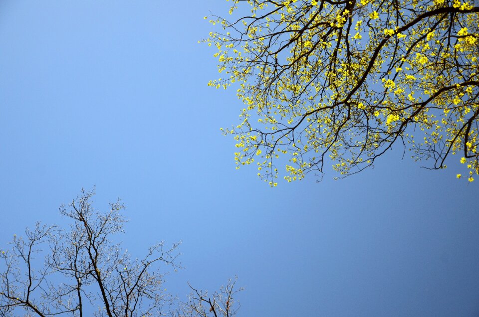 Background the background sky