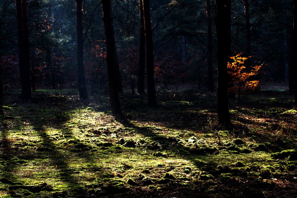 Light light beam lighting