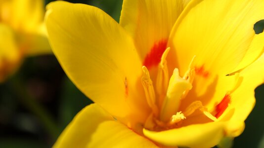 Nature spring summer