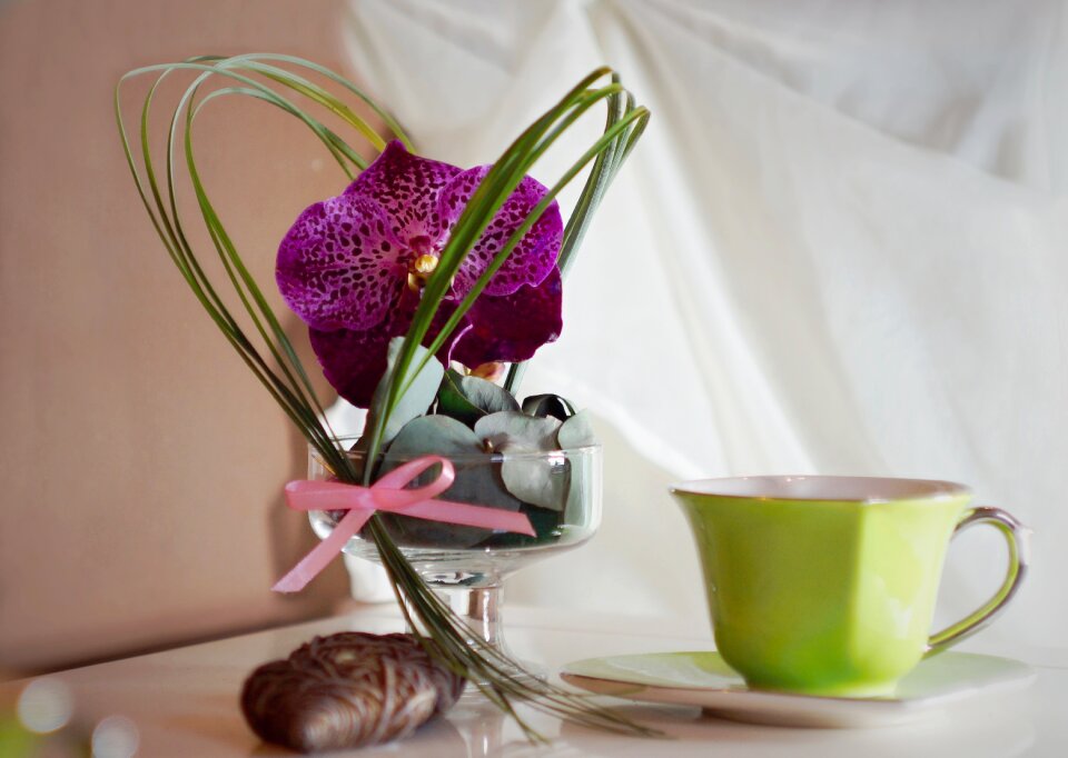 Cup flower retro