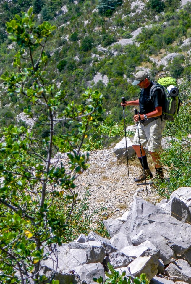 Compostelle nature cluniac path