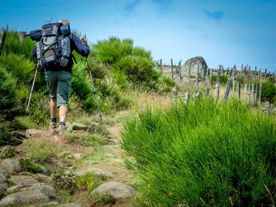 Path compostelle walker