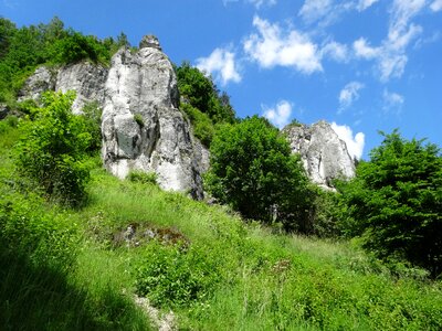 Nature poland jura krakowsko częstochowa photo