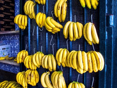 Bananas yellow blue