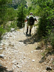 Compostelle nature cluniac path