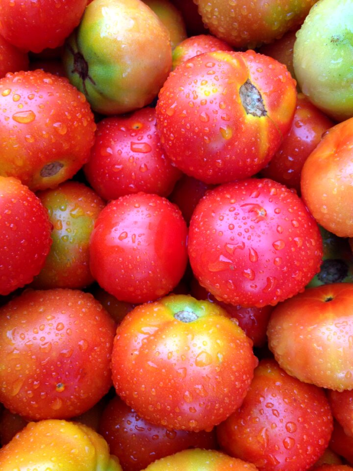 Tomato fresh vegetables