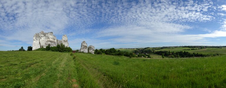 Landscape rock limestone