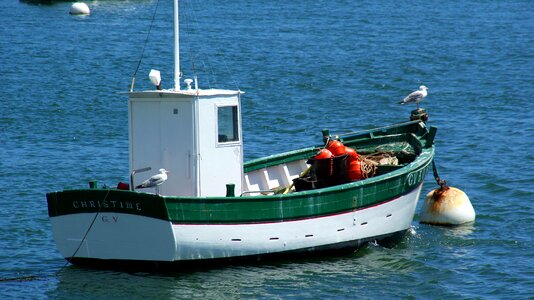 Boat blue birds photo