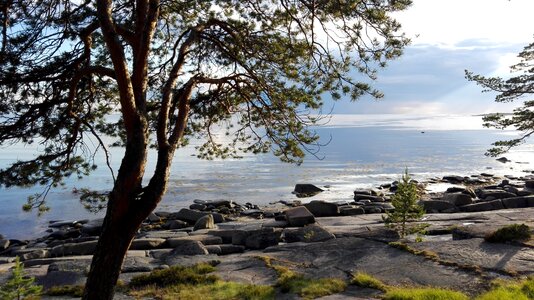 Onega white sea nature