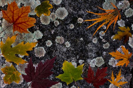 Composition background weave structure