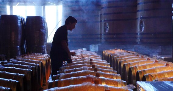 Winery wine production colchagua valley