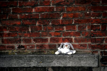 Rabbit only chair