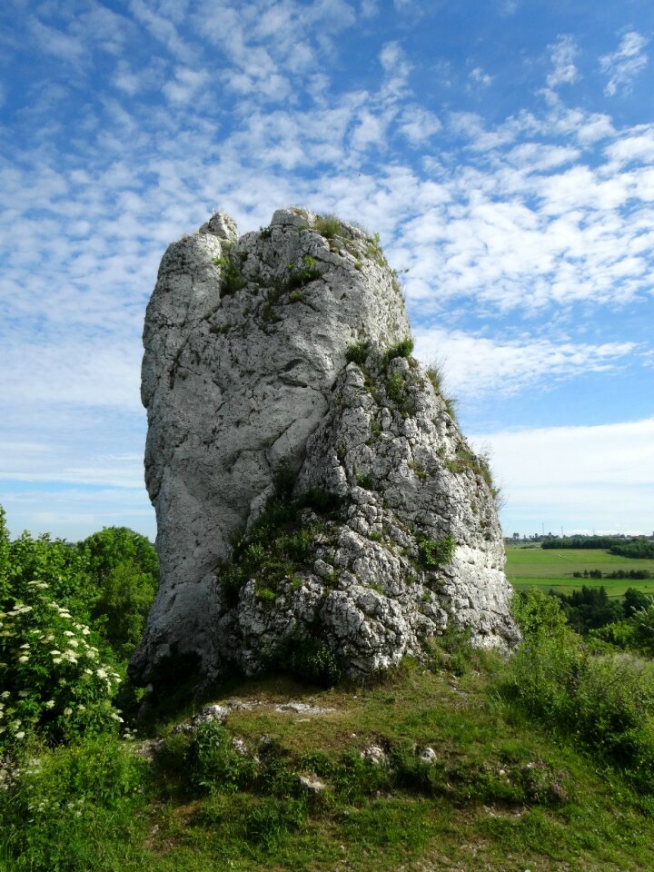 Rock nature limestone