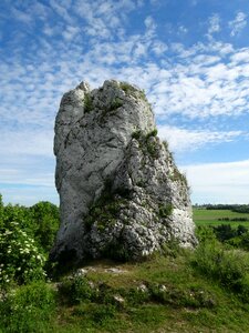 Rock nature limestone
