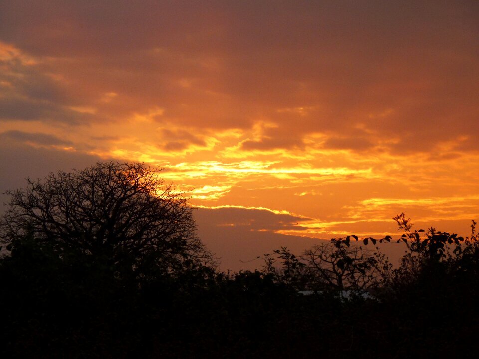Clouds tree sun