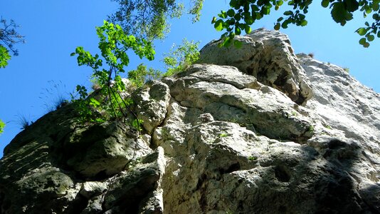 Nature poland jura krakowsko częstochowa photo