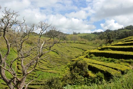 Azores landscape trail