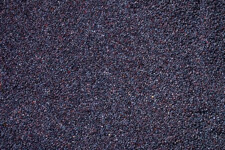 Blue poppy seeds food