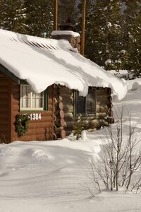 Winter nature colorado