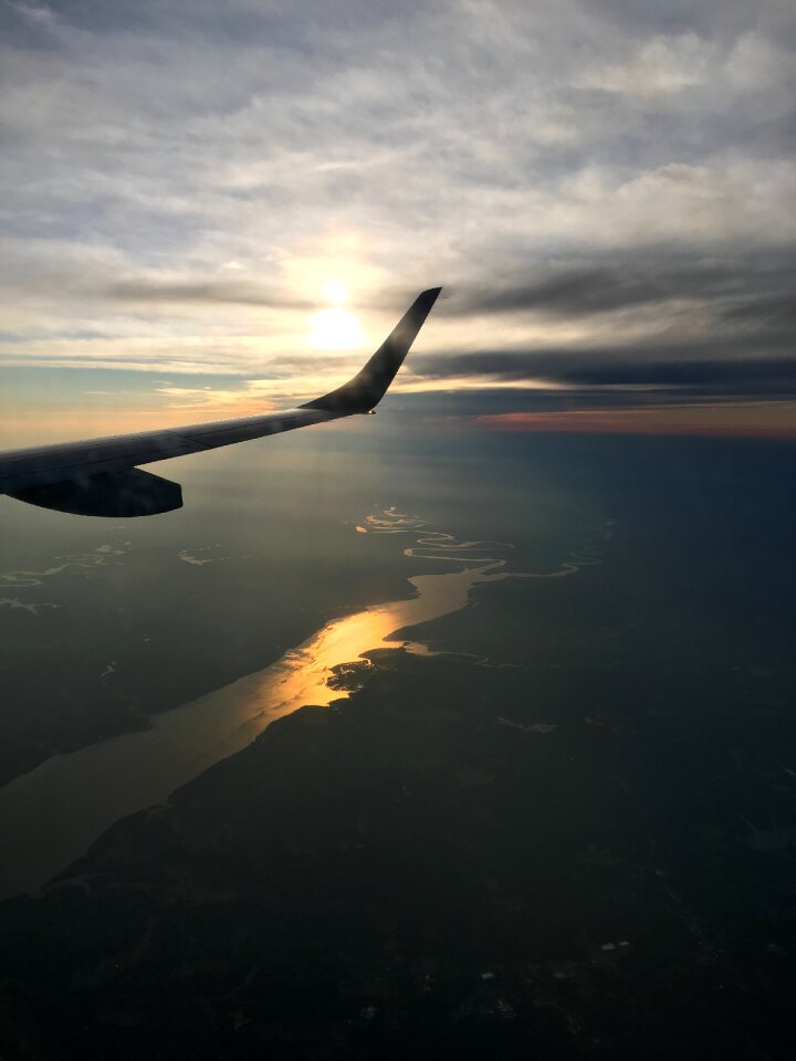 Wing sunset sky