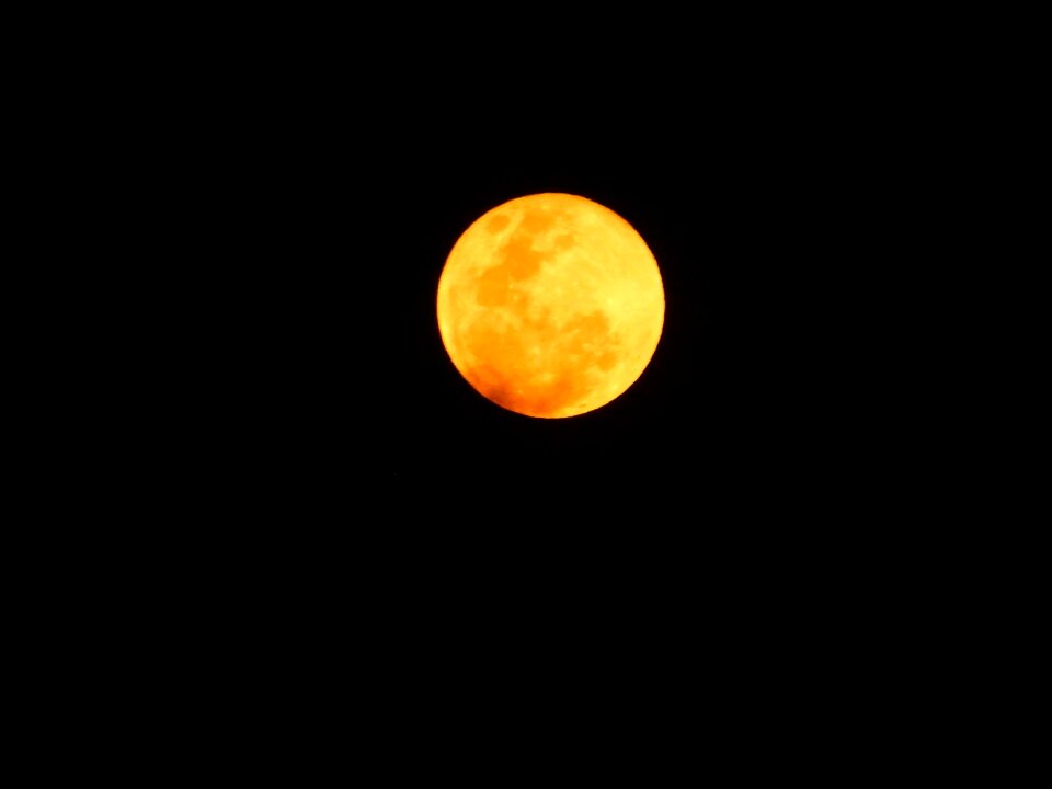 Lunar surface crater night
