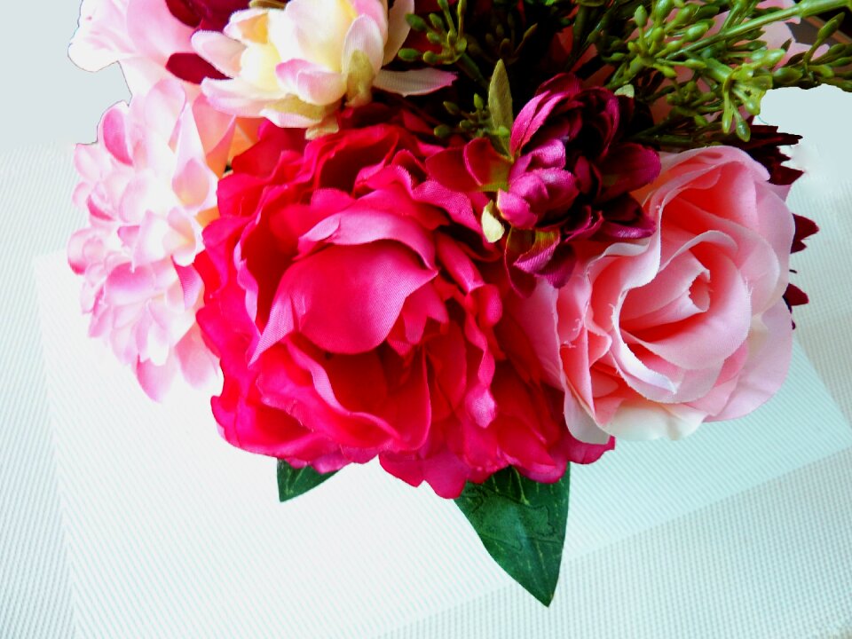 Decorative blossom bloom