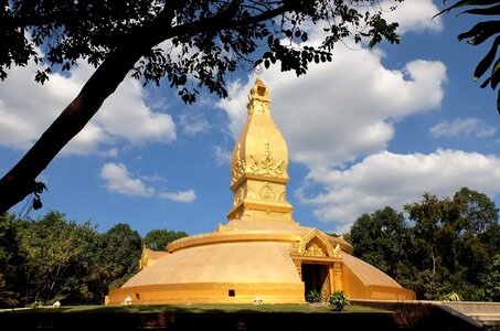 Buddhist buddhism venerable photo