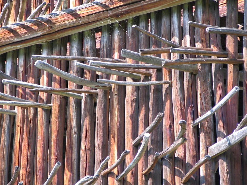 Texture wooden material
