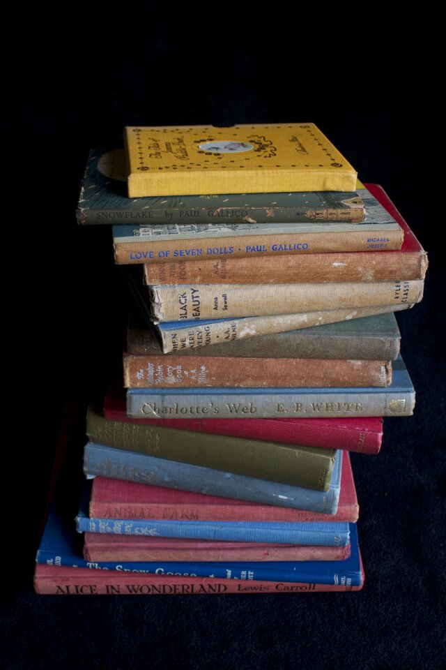 Vintage old library