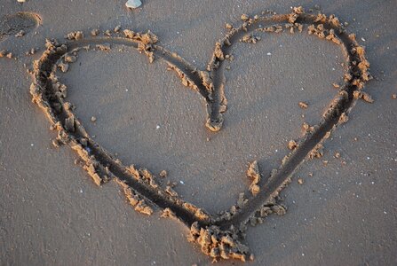 Shell beach love