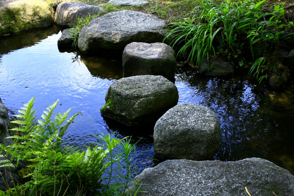 Japan garden japan garden