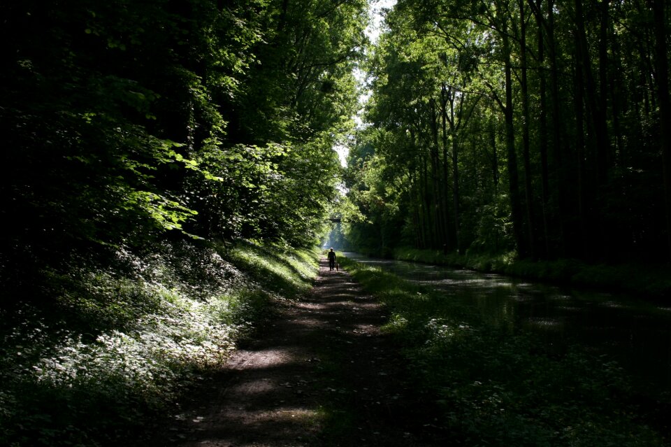Channel nature fields landscape