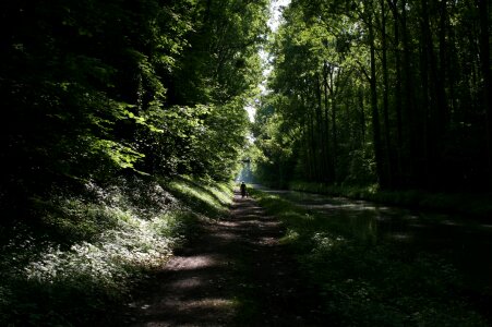 Channel nature fields landscape