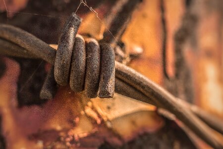Barbed wire rust rusty