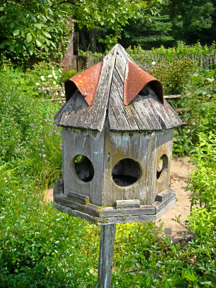 Wood wooden house birds
