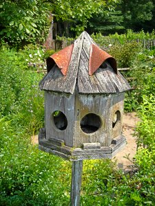 Wood wooden house birds