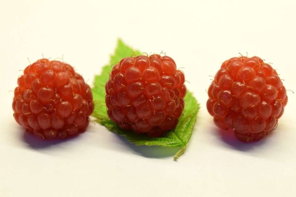 Berries fruit sweet