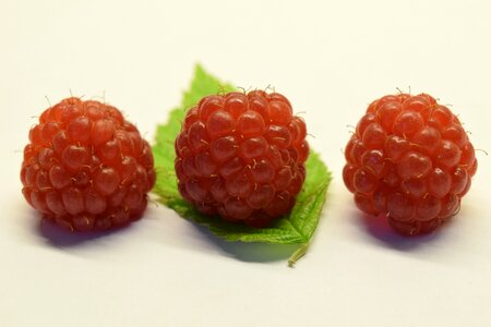 Berries fruit sweet photo