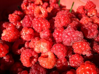 Summer food red