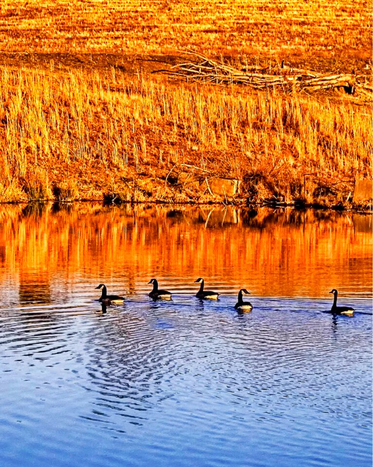 Rural nature water