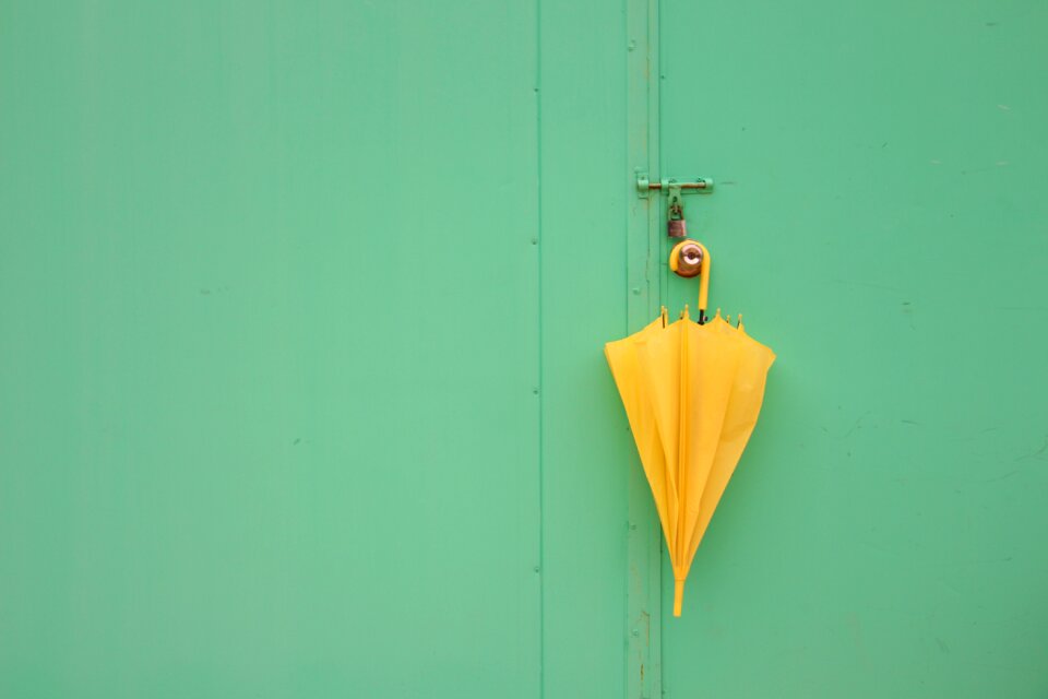 Still life umbrella color